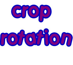 ~Crop Rotation is very important~