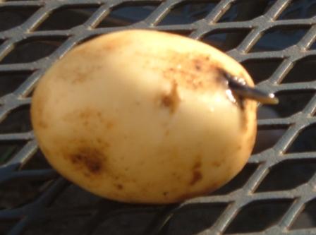  potatoes 